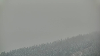 Ski areál U Sachovy studánky