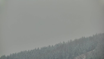 Ski areál U Sachovy studánky