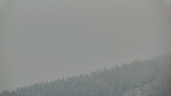 Ski areál U Sachovy studánky