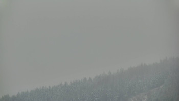 Ski areál U Sachovy studánky