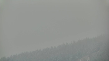 Ski areál U Sachovy studánky