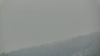 Ski areál U Sachovy studánky