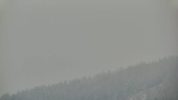 Ski areál U Sachovy studánky