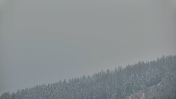 Ski areál U Sachovy studánky