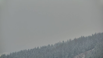 Ski areál U Sachovy studánky