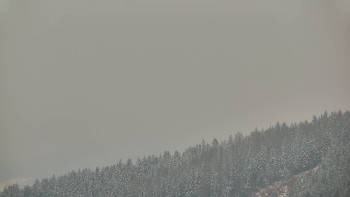 Ski areál U Sachovy studánky