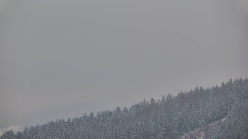 Ski areál U Sachovy studánky