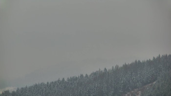 Ski areál U Sachovy studánky