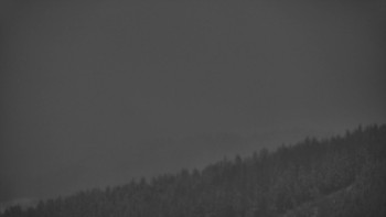 Ski areál U Sachovy studánky