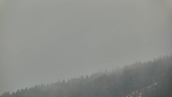 Ski areál U Sachovy studánky