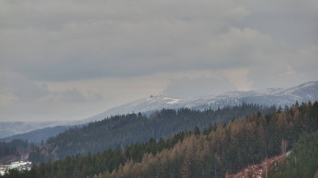Ski areál U Sachovy studánky