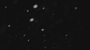 Ski areál U Sachovy studánky