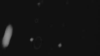 Ski areál U Sachovy studánky