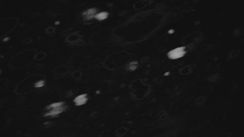 Ski areál U Sachovy studánky