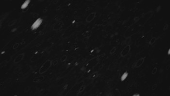 Ski areál U Sachovy studánky