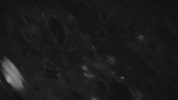 Ski areál U Sachovy studánky