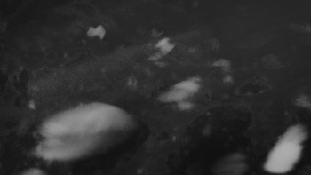 Ski areál U Sachovy studánky