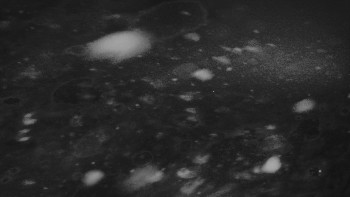 Ski areál U Sachovy studánky