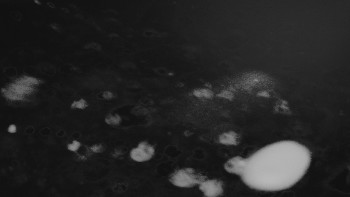 Ski areál U Sachovy studánky