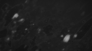 Ski areál U Sachovy studánky