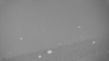 Ski areál U Sachovy studánky