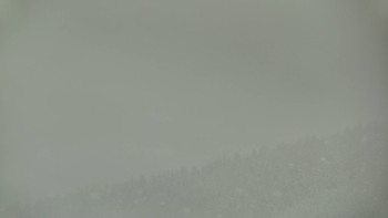 Ski areál U Sachovy studánky