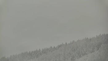 Ski areál U Sachovy studánky