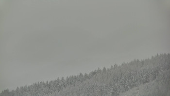 Ski areál U Sachovy studánky