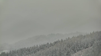 Ski areál U Sachovy studánky