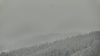 Ski areál U Sachovy studánky