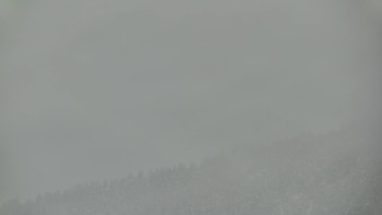 Ski areál U Sachovy studánky