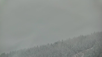 Ski areál U Sachovy studánky