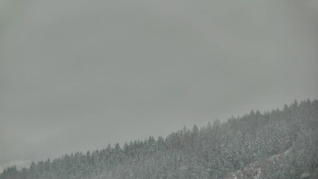 Ski areál U Sachovy studánky