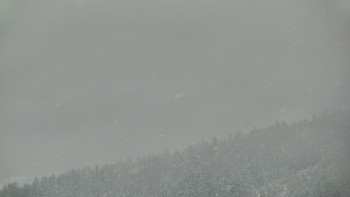 Ski areál U Sachovy studánky