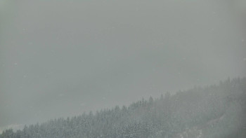 Ski areál U Sachovy studánky