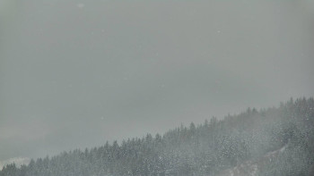 Ski areál U Sachovy studánky