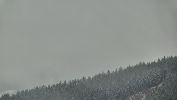 Ski areál U Sachovy studánky