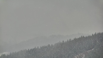 Ski areál U Sachovy studánky