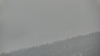 Ski areál U Sachovy studánky