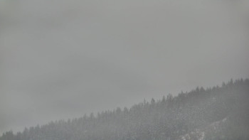 Ski areál U Sachovy studánky