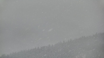 Ski areál U Sachovy studánky