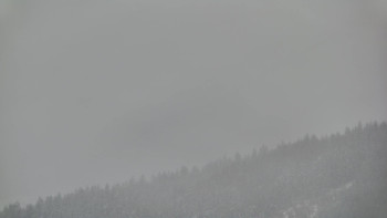 Ski areál U Sachovy studánky