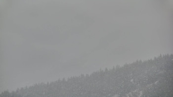 Ski areál U Sachovy studánky