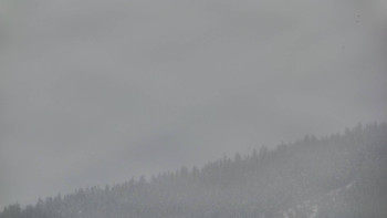 Ski areál U Sachovy studánky