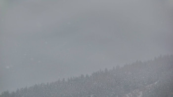 Ski areál U Sachovy studánky