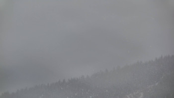 Ski areál U Sachovy studánky