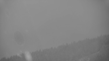 Ski areál U Sachovy studánky