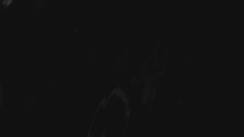 Ski areál U Sachovy studánky