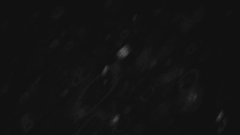 Ski areál U Sachovy studánky