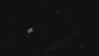 Ski areál U Sachovy studánky